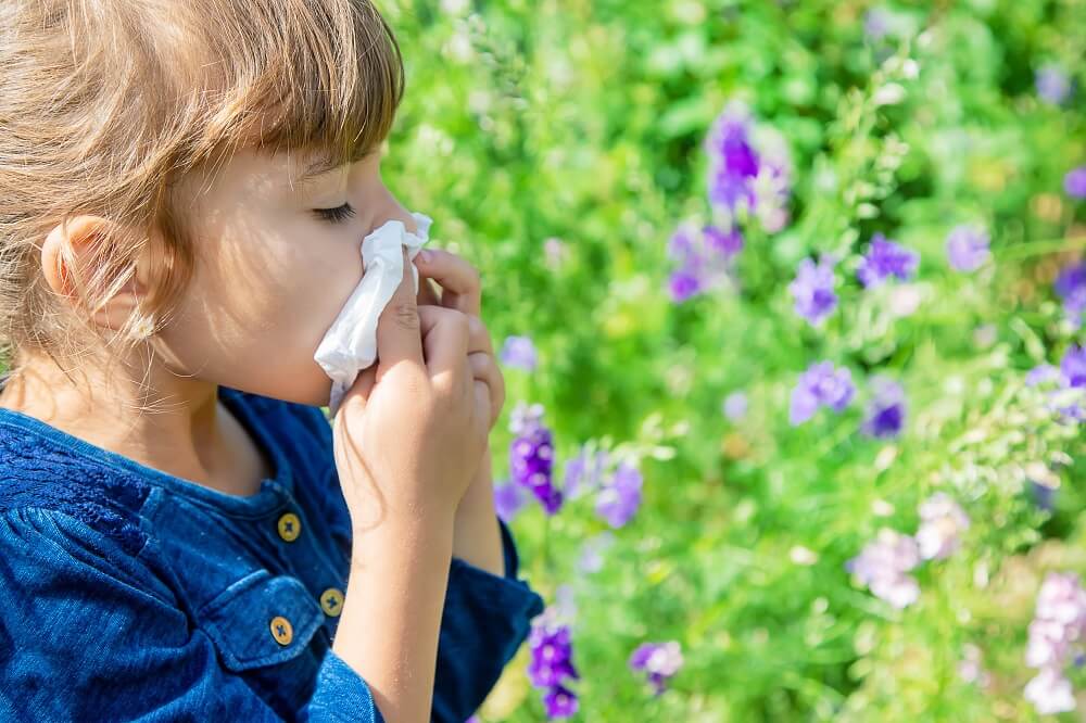 אלרגיה באביב טיפול טבעי