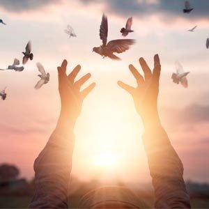 קינסיולוגיה